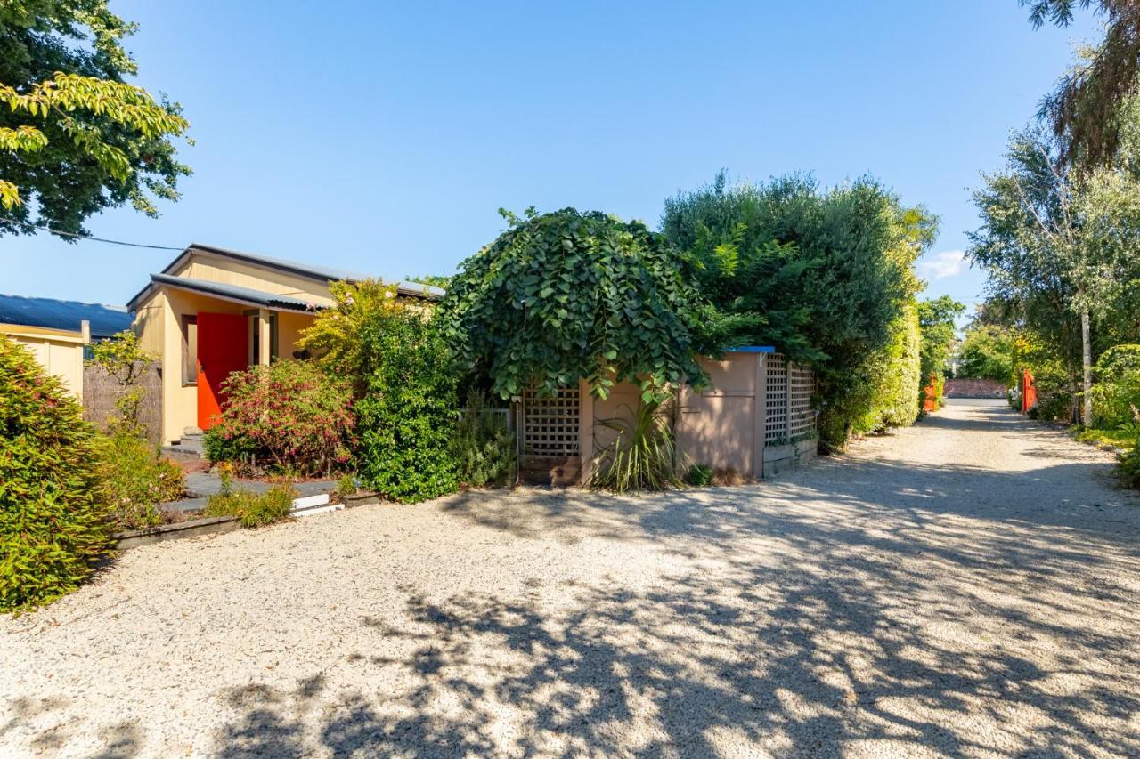 Shy Cottage And Studio Greytown Exterior photo