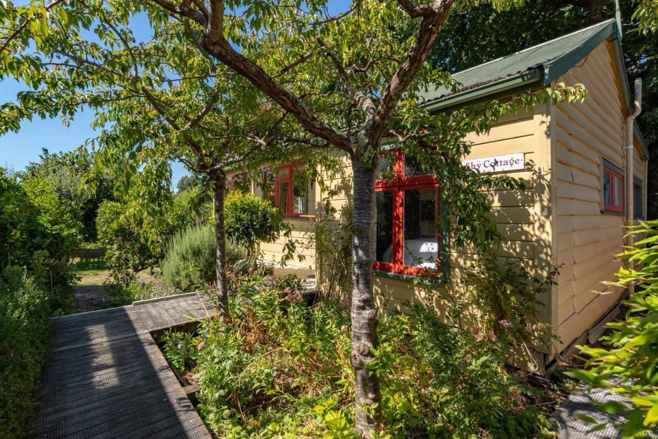 Shy Cottage And Studio Greytown Exterior photo