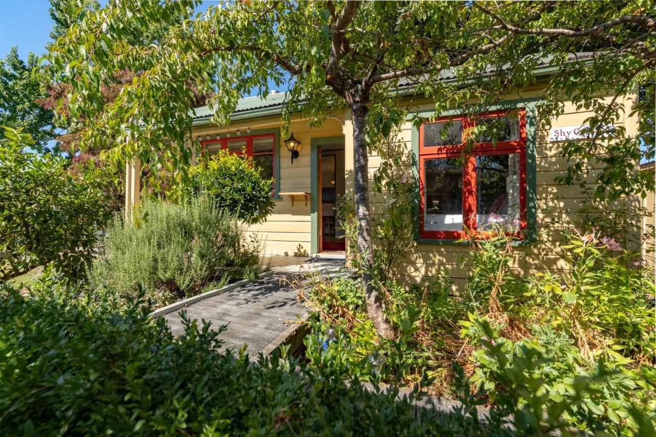 Shy Cottage And Studio Greytown Exterior photo
