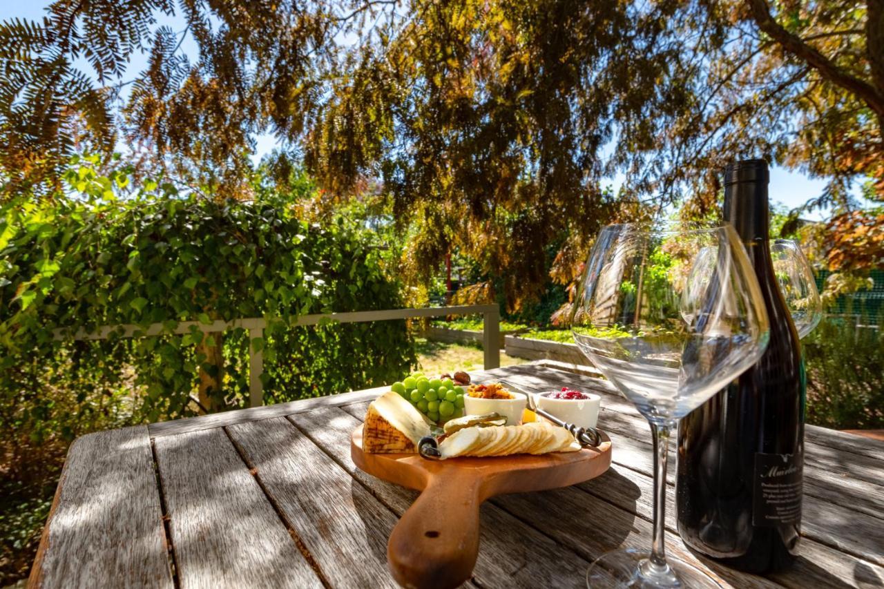 Shy Cottage And Studio Greytown Exterior photo